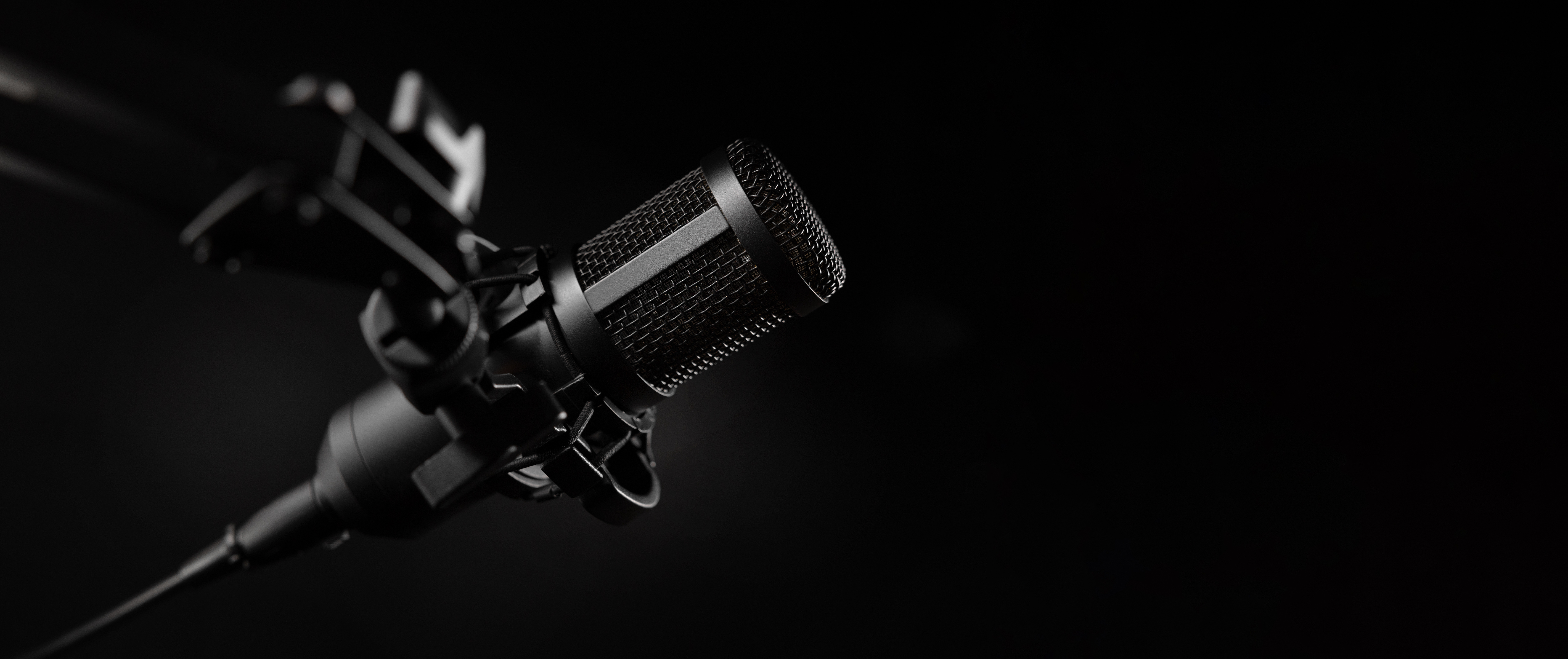 Studio microphone